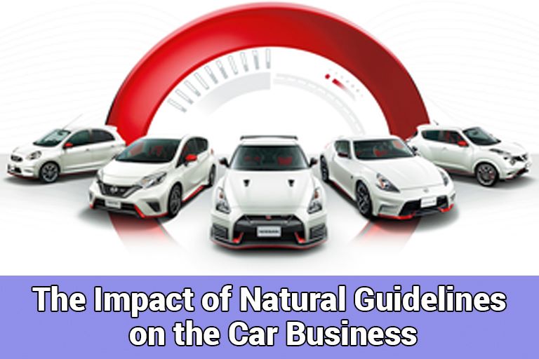 The Impact of Natural Guidelines on the Car Business