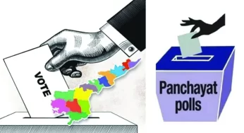 The Profound Benefits of Sarpanch Elections