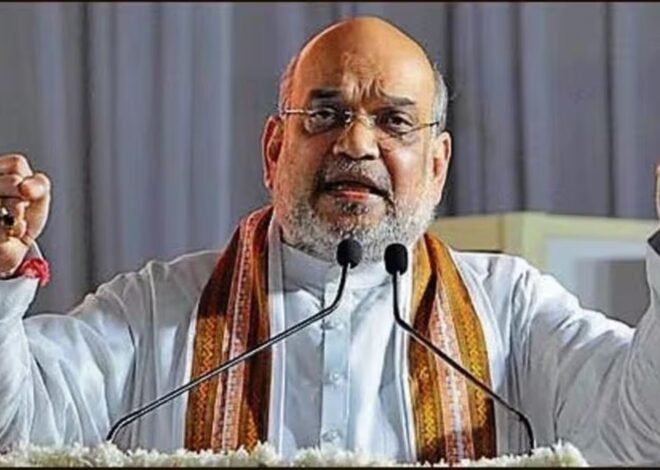 Amit Shah Biography, Facts, History, Education