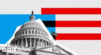 What are midterm elections, and why are they important?