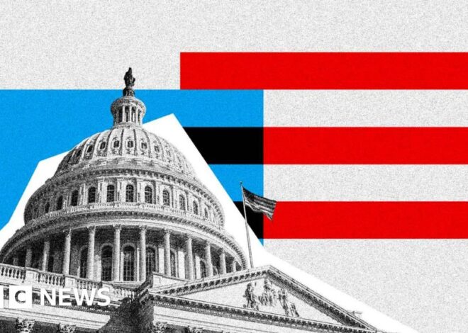 What are midterm elections, and why are they important?