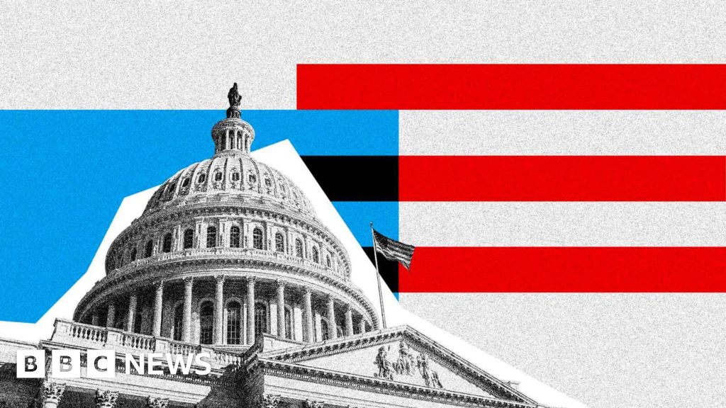 What are midterm elections, and why are they important?